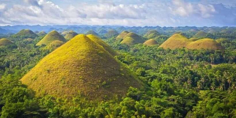 From Cebu: Full-Day Bohol Excursion - What You See at Chocolate Hills and the Tarsier Stop