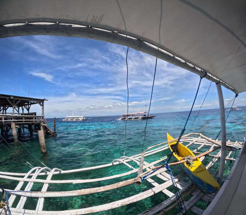 From Cebu: Island Hopping to 3 islands with BBQ lunch - Hilutungan Island Marine Sanctuary: The Snorkel Stop That Sells the Day