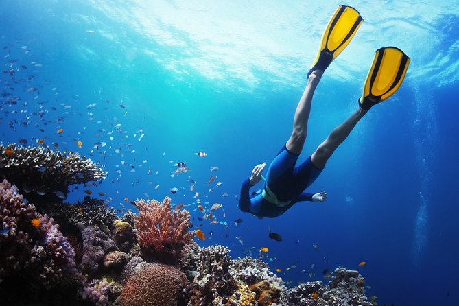 From Cebu: Island Hopping to 3 islands with BBQ lunch - Morning Pickup and the Boat Start You’ll Plan For