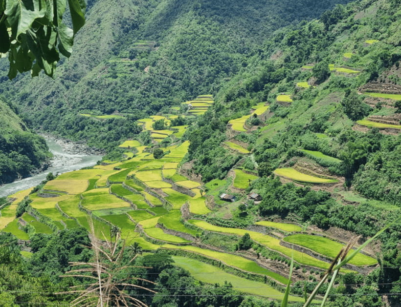 From Manila: 2-Day Buscalan Tour with Apo Whang-od - The tattoo experience: hand-tapped work, and how costs can add up
