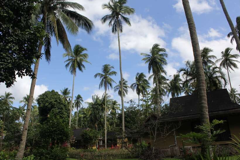 From Manila: Day Tour to Enchanting Hidden Valley - Key things that make this day trip worth it