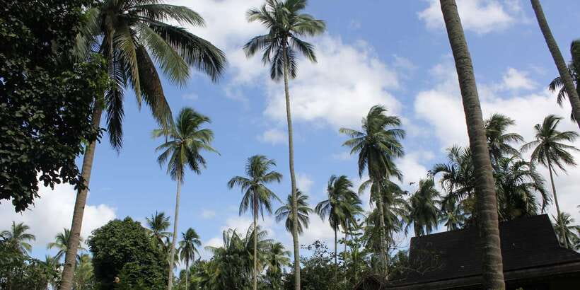 From Manila: Day Tour to Enchanting Hidden Valley - The human factor: guides like Richard, Malou, Omar, and Nori