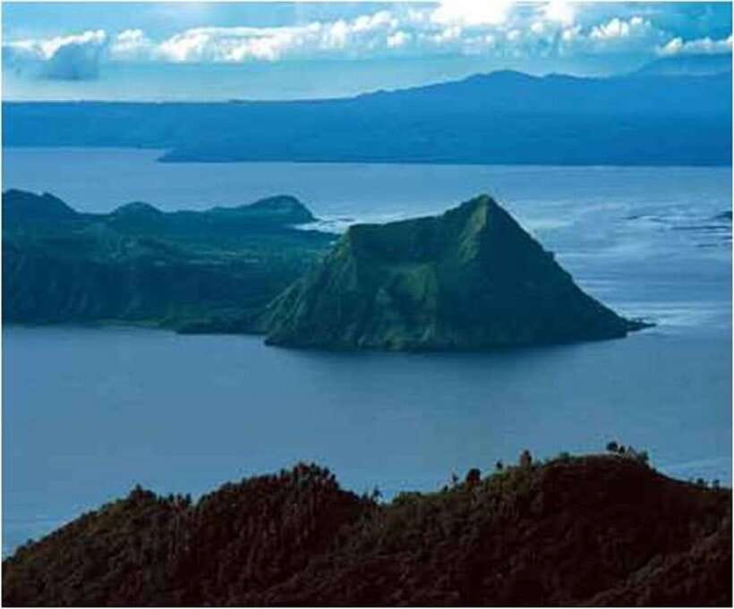 From Manila: Panoramic Tagaytay Ridge Tour - Gourmet Farm: What growing coffee, herbs, and veggies looks like