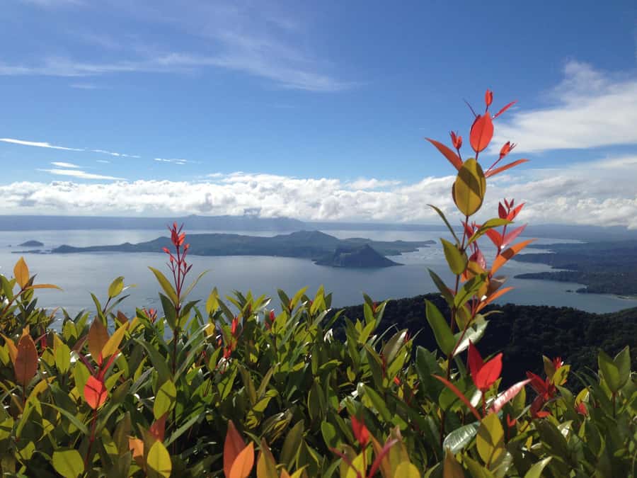 From Manila: Taal Volcano and Lake Boat Sightseeing Tour - Tagaytay City Picnic Groove, where you get your bearings