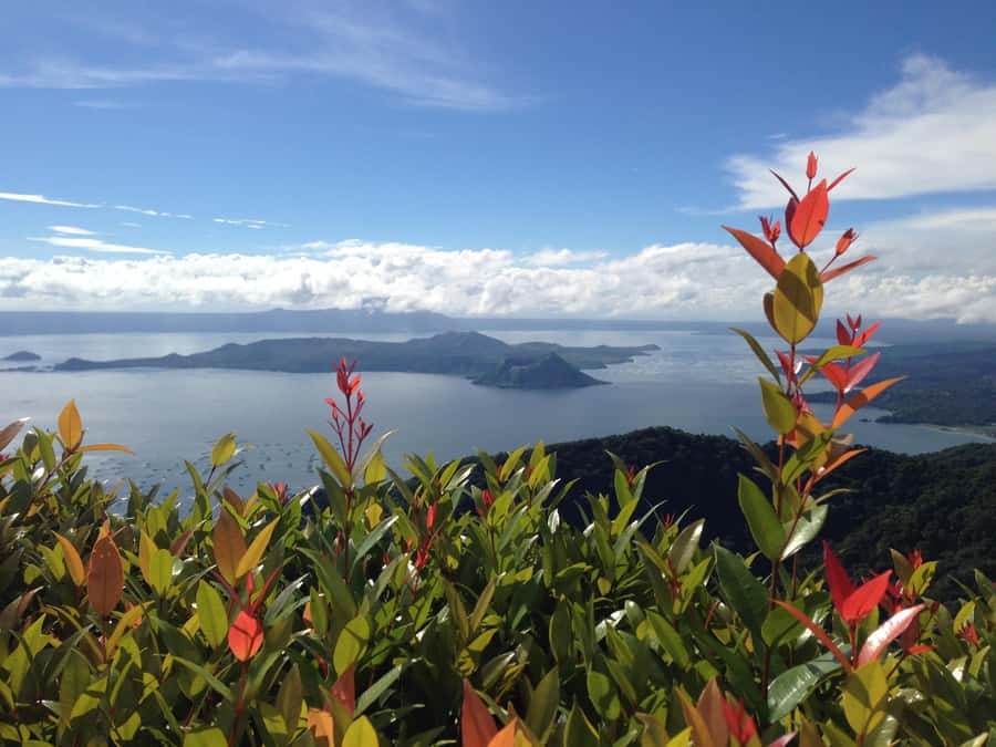 From Manila: Taal Volcano Island & Pagsanjan Falls Day Tour - Optional Volcano Island boat ride: worth it, but know the tradeoff