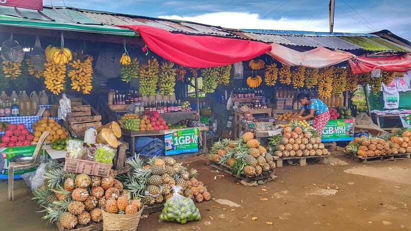 From Manila: Tagaytay Countryside Wonders: A Half-Day Tour - Weather strategy: how to handle fog and still come away happy