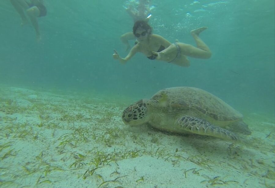 From Puerto Princesa: Port Barton & Island Hopping Day Trip - Who Should Book This Port Barton Day Trip