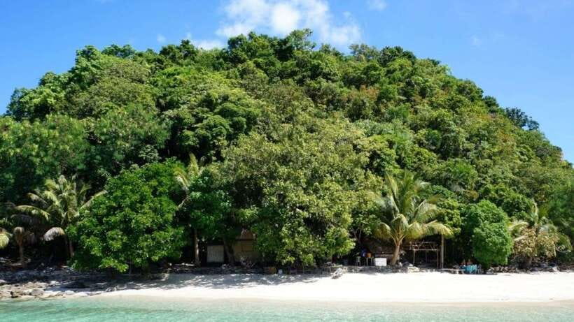 From Puerto Princesa: Port Barton & Island Hopping Day Trip - Port Barton Wharf to Turtle Spot: Where the Sea Life Is the Main Attraction