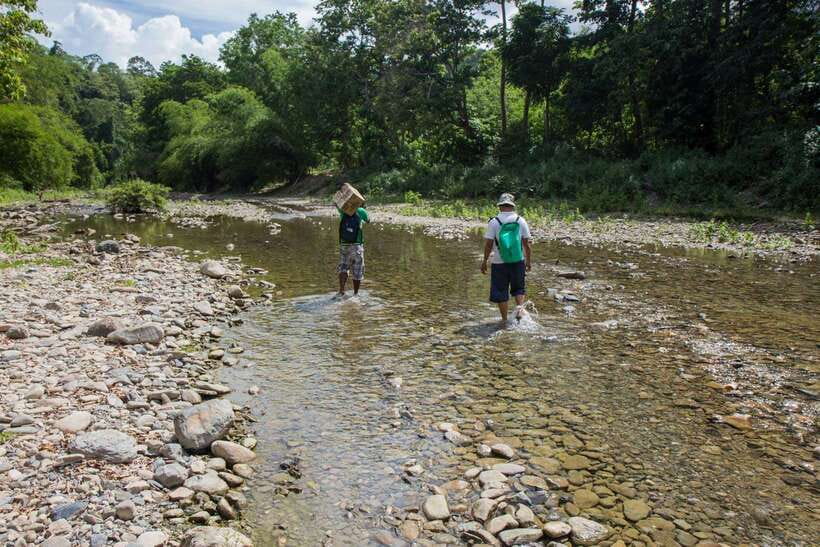 From Puerto Princesa: Trek to Batak Tribe Village - Key highlights worth your attention