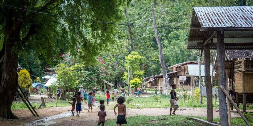 From Puerto Princesa: Trek to Batak Tribe Village - Should you book the Puerto Princesa to Batak Tribe Village trek?