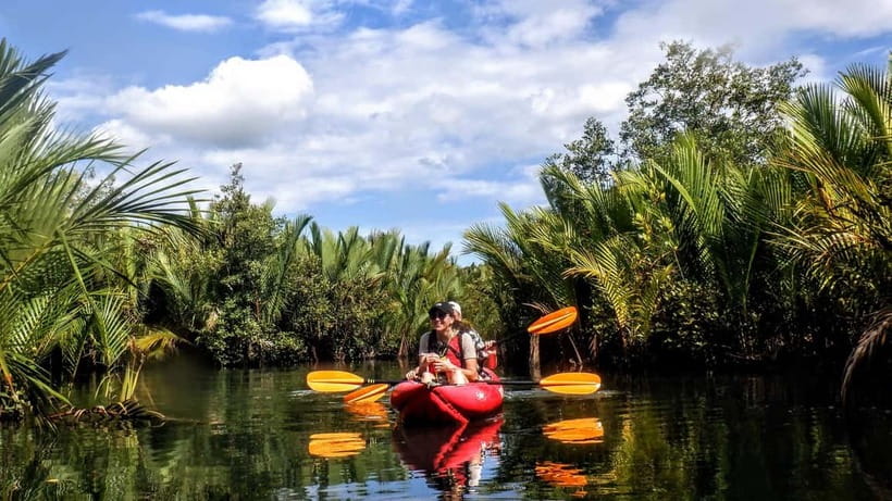From Tagbilaran City/Panglao Island: Bohol Mangrove Kayaking - What makes this kayaking trip feel genuinely different