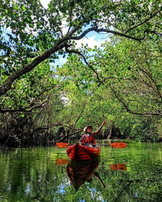 From Tagbilaran City/Panglao Island: Bohol Mangrove Kayaking - What the food and comfort breaks feel like