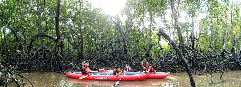From Tagbilaran City/Panglao Island: Bohol Mangrove Kayaking - Getting there from Panglao or Tagbilaran in real time
