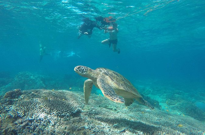 Full Day Apo Island Tour from Dumaguete - Boat ride realities: what 8 hours on the water feels like
