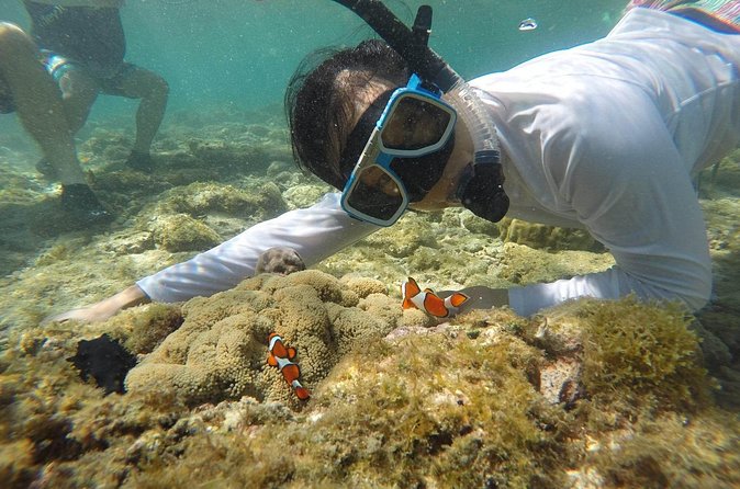 Full Day Apo Island Tour from Dumaguete - Habagat Trail trek: a 30-minute uphill that pays off fast