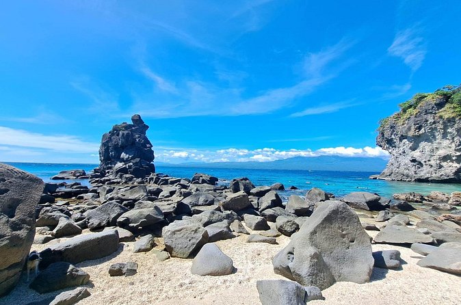 Full Day Apo Island Tour from Dumaguete - What the small-group format changes for your day