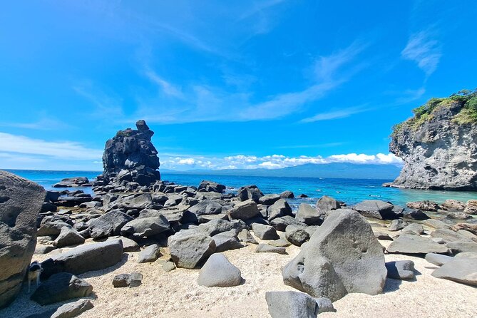 Full Day Apo Island Tour from Dumaguete - Turtle Point snorkeling: how to see sea turtles without touching