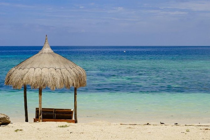 Full-Day Private Siquijor Island Tour - Old Enchanted Balete Tree: Faith, Folklore, and a Nearby Shop Scene