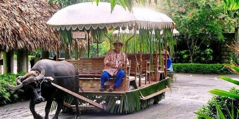 Full Day Tour Villa Escudero Plantation - Spring-Fed Pools: Swim Time That Actually Fits the Day