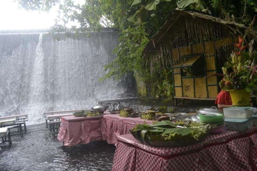Full Day Tour Villa Escudero Plantation - Traditional Dance Show and the Return to Manila