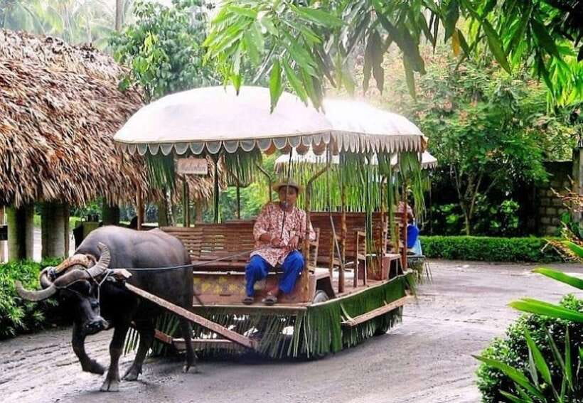 Full Day Tour Villa Escudero Plantation - Pickup From Makati, Ride Time From Manila, and Your Small-Group Setup
