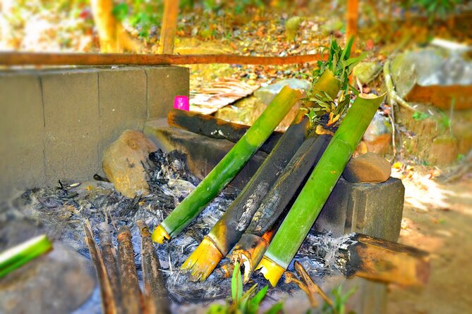 indigenous Forest experience Manila 2023 - Entering the Pamulaklakin trail world