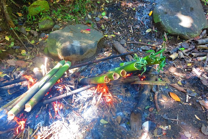 indigenous Forest experience Manila 2023 - The early start, comfortable transit, and how the day flows