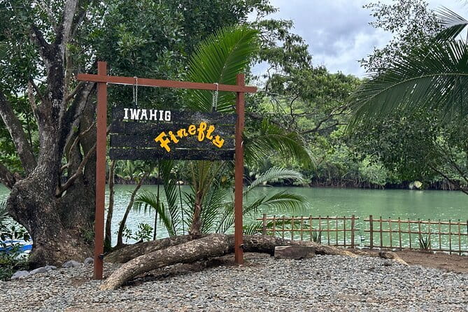 Iwahig River Cruise and Firefly Watching Tour in Puerto Princesa - How the Night Sky Turns On at Iwahig Eco Park