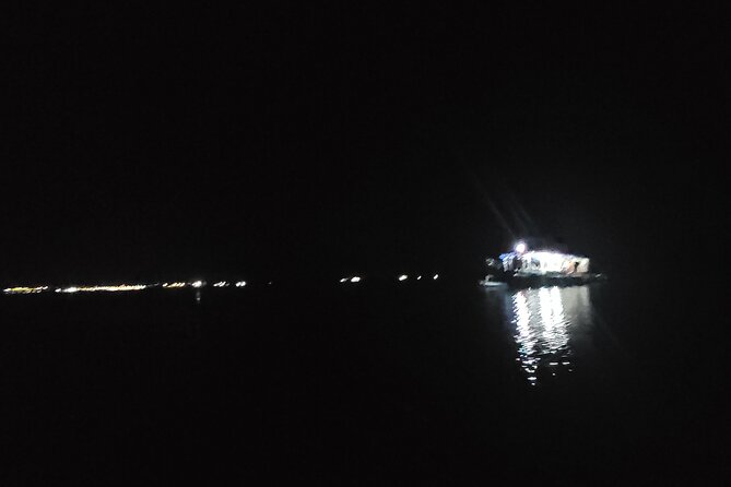 Joiners Firefly Watching Tour - Key Highlights You Should Plan Around