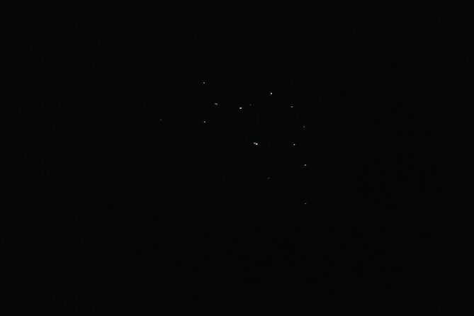 Joiners Firefly Watching Tour - Where You Meet, How Pickup Works, and What to Expect at Night