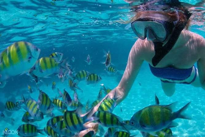 Mactan Cebu Island Hopping with Lunch - Gilutungan, Caohagan, Nalusuan - Price and value for an $85-per-person private reef day