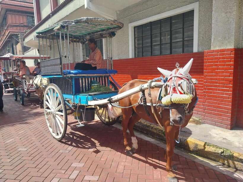 Manila: Intramuros and Chinatown Food Tour with Food Samples - Key things to know before you go