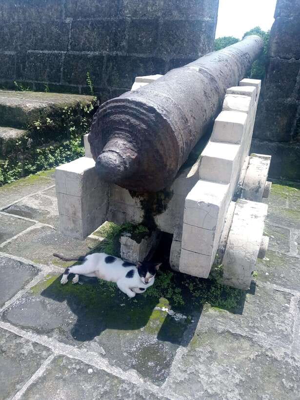 Manila: Intramuros Tour ( Dark) - A dark story walk that still feels organized