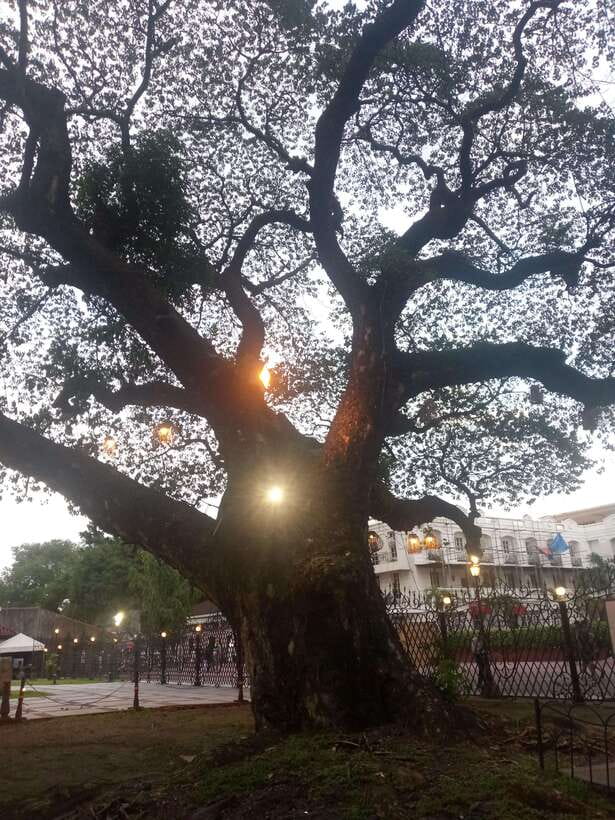 Manila: Intramuros Tour ( Dark) - Fort Santiago: dungeons, old barracks, and what happened to prisoners