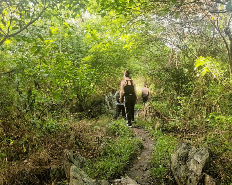 Manila: Mt. Kulis, Tanay, Rizal Hike and Scenic Adventure - The Noah’s Ark stop and the hanging bridge: the fun part beyond the summit