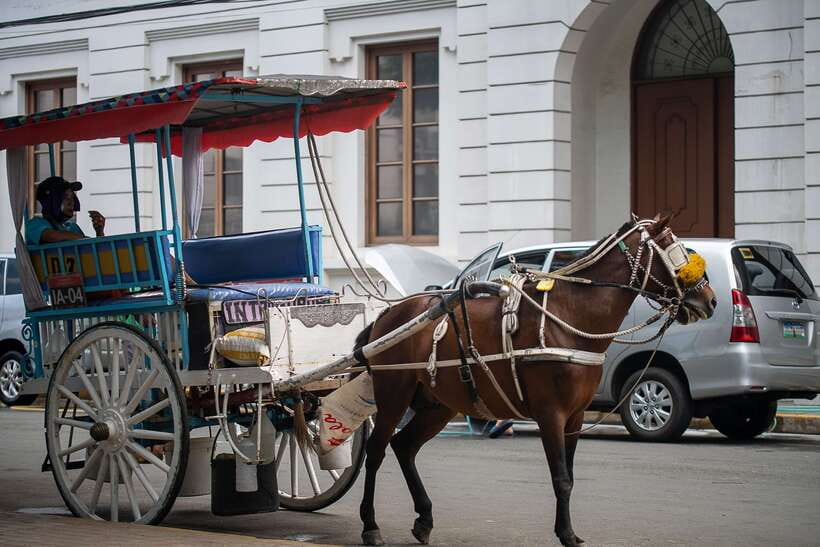 Manila: Sightseeing and Food Walking Tour with Tastings - Quiapo Market: where your senses get the first workout