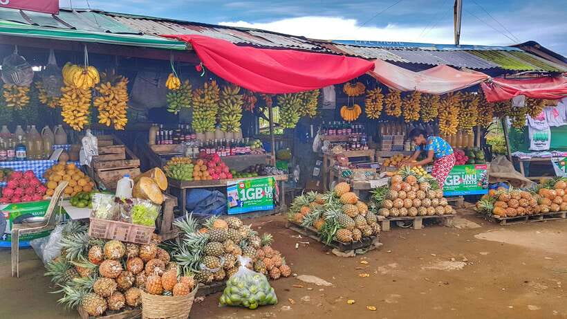 Manila-Tagaytay: Explore Culture & Nature in One Day - Key Points You’ll Care About