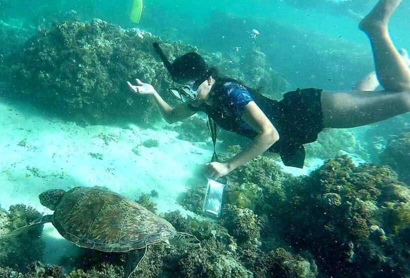 Moalboal: Pescador Island Hopping Adventure and Sardine Run - The day schedule, and how the time actually gets used