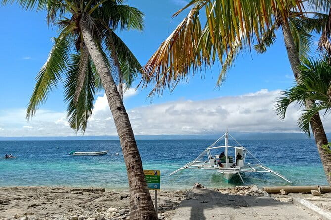 Moalboal Sardine Run, Sea Turtle and Mantayupan Falls - Who should book this Moalboal and Mantayupan day trip