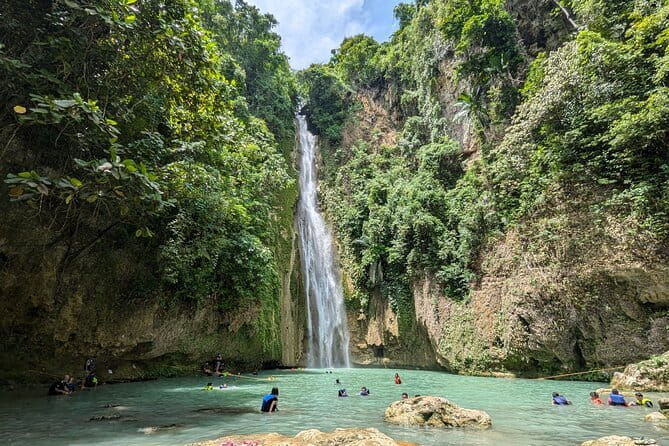 Moalboal Sardine Run, Sea Turtle and Mantayupan Falls - Panagsama Beach snorkeling and the sardine run effect