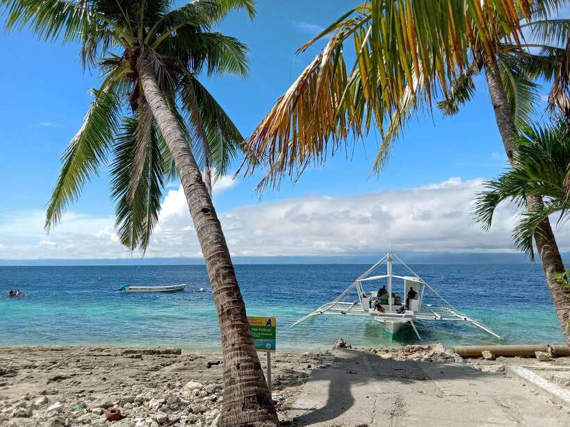 Moalboal Sardine Run, Sea Turtle & Mantayupan Falls - Who should book, and who should pass