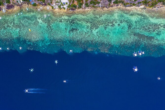 Moalboal Sardines Run Private Tour w/ Transfers Option - Guides and That Practical Comfort Factor