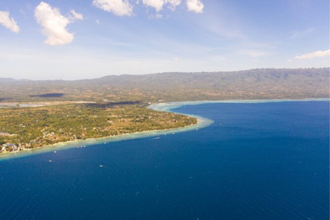 Moalboal Sardines Run Private Tour w/ Transfers Option - Price and Value: Is $20 Really a Good Deal?