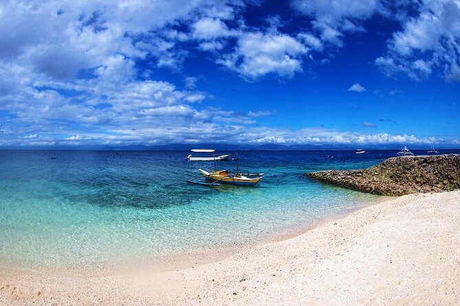 Moalboal Sardines Run Private Tour w/ Transfers Option - Timing Tips: When to Go for Sardines, Turtles, and Easier Water