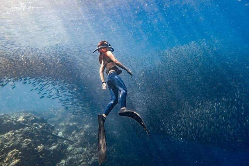 Moalboal: Scuba Diving and Pescador Island Hopping - Key points to know before you go