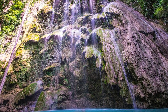 Oslob Whale Shark Private Tour with Sumilon & Tumalog Falls - Ruins of Oslob and the Long Cebu Driving Hours