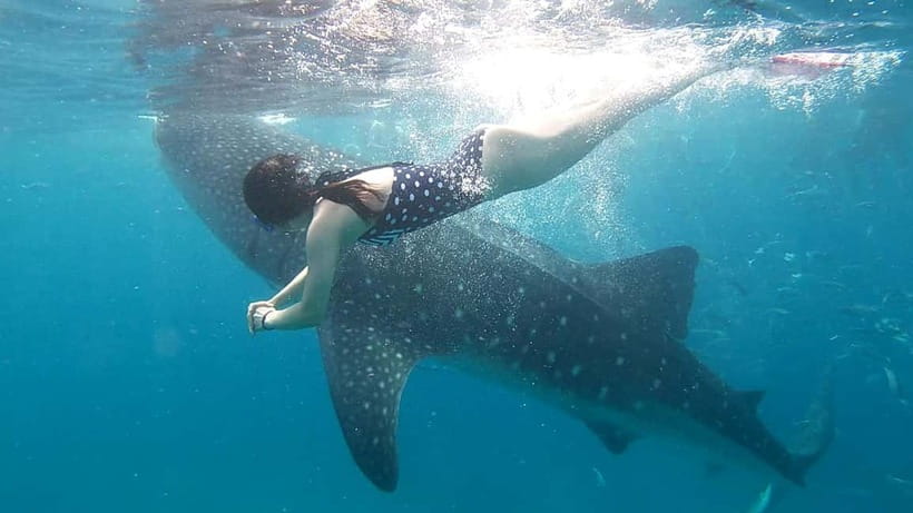Oslob Whale Shark Swimming & Kawasan Falls Canyoneering - Kawasan Falls Canyoneering in Badian: The Main Event
