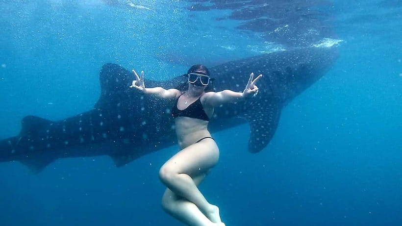 Oslob Whale Shark Swimming & Kawasan Falls Canyoneering - Who This Trip Fits Best