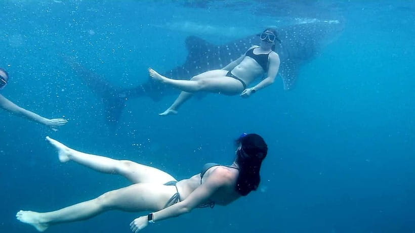 Oslob: Whale Shark Tour with Sumilon & Moalboal Snorkeling - Lunch in Badian: Simple, Included, and Timed for the Next Stop