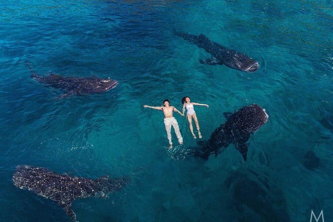 Oslob Whale Shark & Tumalog Waterfalls & Sumilon Sandbar - Sumilon Island and the sandbar: where the blue water meets white sand